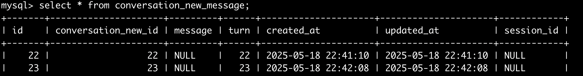 image-20250518224325433